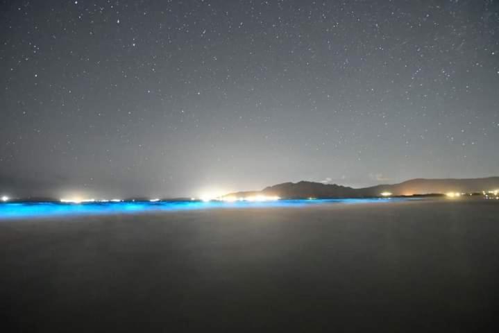 Apartmán La Casa Del Timon.Planta Baja Muros Exteriér fotografie